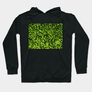 Green Foliage Background Hoodie